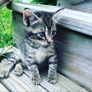 Meet your Posher, June